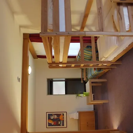 Action Forest - Kletterwald - Lasertag - Naehe Badeparadies Titisee-Neustadt