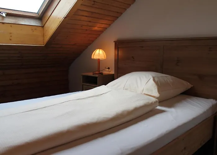 Action Forest - Kletterwald - Lasertag - Naehe Badeparadies